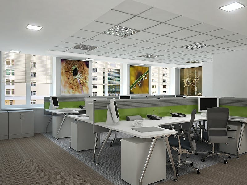 Open space с макросъёмками цветов на простенках